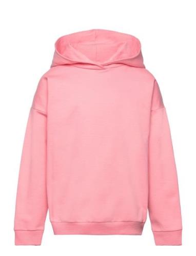 College Hoodie Tops Sweat-shirts & Hoodies Hoodies Pink Gugguu