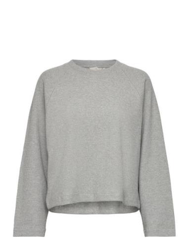 Barbara Sweatshirt Gots Tops Sweat-shirts & Hoodies Sweat-shirts Grey ...
