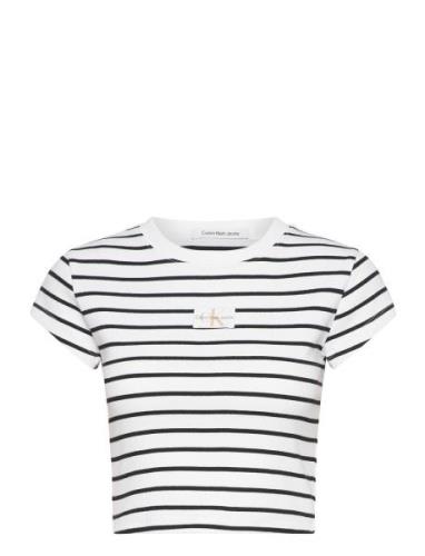 Calvin Klein Jeans Woven Label Rib Baby Tee Multi/patterned