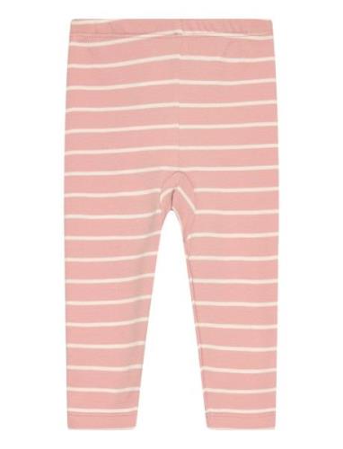 Fixoni Leggings - Y/D Stripe Rosa