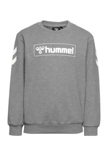 Hmlbox Sweatshirt Sport Sweat-shirts & Hoodies Sweat-shirts Grey Humme...