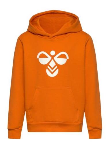 Hummel Hmlcuatro Hoodie Orange