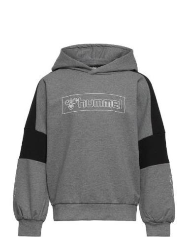 Hummel Hmlboxline Hoodie Grå