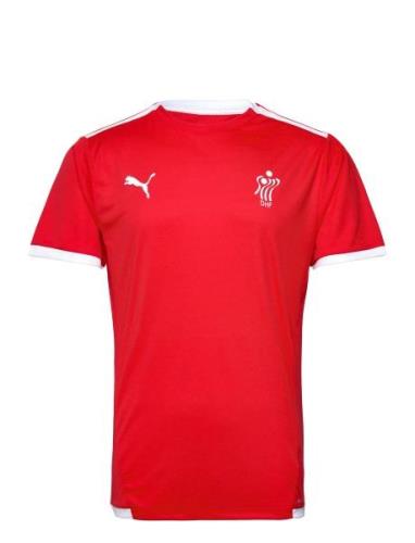 Teamliga Jersey Sport T-shirts Short-sleeved Red PUMA