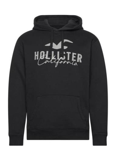 Hco. Guys Sweatshirts Tops Sweat-shirts & Hoodies Hoodies Black Hollis...