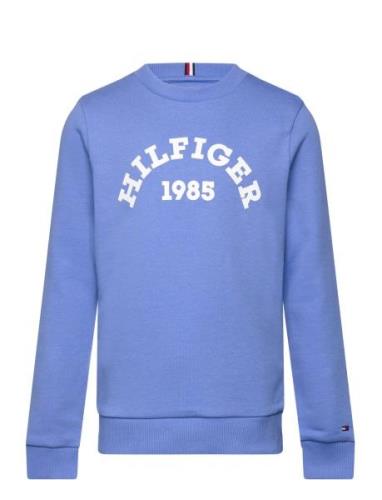 Hilfiger 1985 Sweatshirt Tops Sweat-shirts & Hoodies Sweat-shirts Blue...