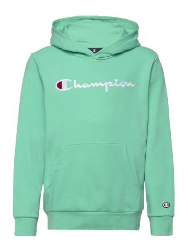 Champion Hooded Sweatshirt Grön