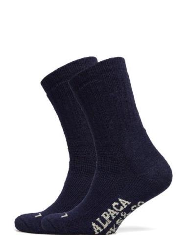 Alpacasocks&Co Alpacasocks 2-Pack Marinblå