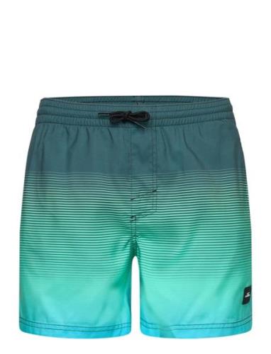 O'neill Jack O'neill Cali Gradient 15'' Swim Shorts Blå