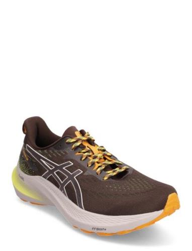 Gt-2000 12 Tr Sport Sport Shoes Running Shoes Brown Asics