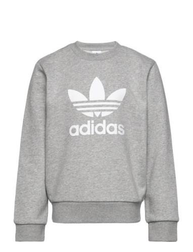 Adidas Originals Trefoil Crew Grå