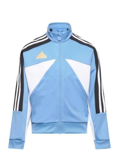 Adidas Sportswear J Np Ttop Blå