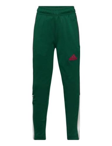 Adidas Sportswear J Np Tiro Pant Grön