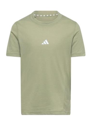 Adidas Sportswear J D4T Tee Khaki Green