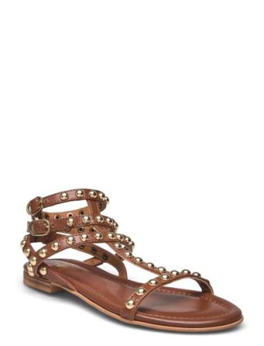 Billi Bi Sandals Brun