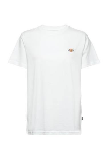 Dickies Mapleton Ss Tee Vit