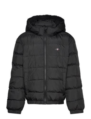 GANT Shield Padded Jacket Svart