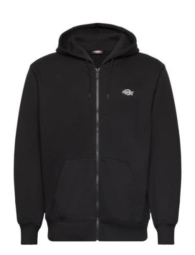 Dickies Summerdale Zip Through Svart