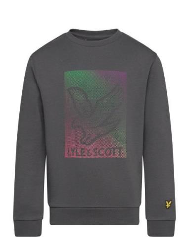 Lyle & Scott Dotted Eagle Graphic Sweatshirt Grå