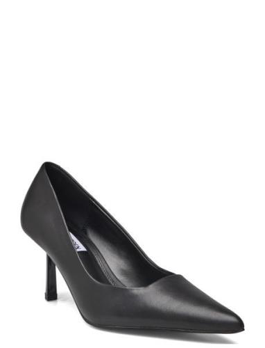 Steve Madden Vivion Pump Svart