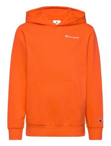 Champion Hooded Sweatshirt Orange