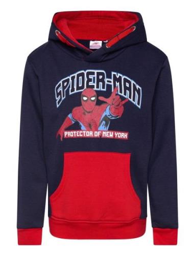 Spider-man Sweats Marinblå