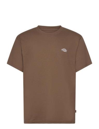 Dickies Summerdale Ss Tee Brun