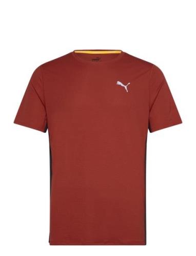 PUMA Run Favorite Velocity Tee Burgundy