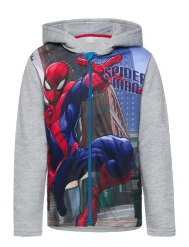 Spider-man Sweats Grå