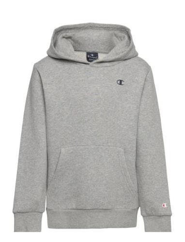 Champion Hooded Sweatshirt Grå