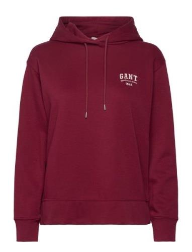 GANT Small Graphic Hoodie Röd