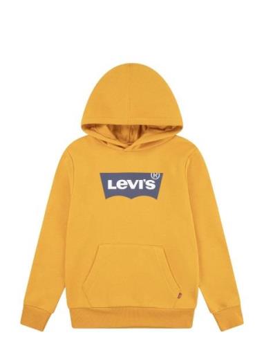 Levi's Levi's® Screenprint Batwing Pullover Hoodie Gul