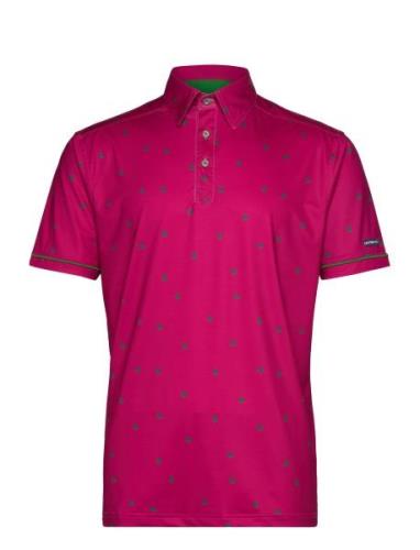 Lexton Links Carnaby Polo Rosa