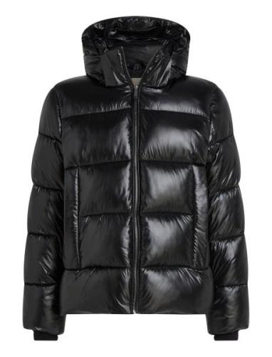 Calvin Klein Hooded Quilt Puffer Mw Gloss Svart