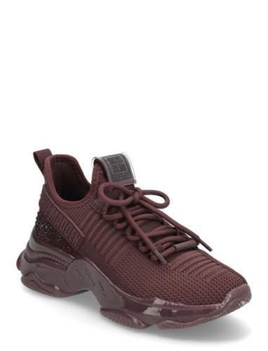 Steve Madden Maxilla-R-E Sneaker Burgundy