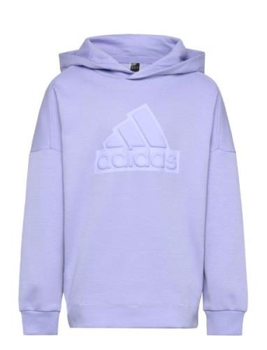 Adidas Sportswear U Fi Logo Hd Lila